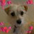 Joanna Melton's profile image