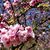 Sheila Meiswinkel Robertson's profile image