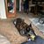 Tina Petro Lowman's profile image