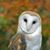 Melissa Breault Smith's profile image