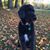 Linda Wilbur McCauley's profile image