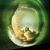Christina Hernandez's profile image