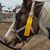 Heather Langendorfer-Blackketter's profile image