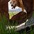 Melanie Kerrigan's profile image