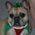 Debra Kennedy's profile image