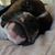 Valerie Mason's profile image