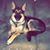 Joe Seuferer's profile image