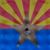 Lucia Munoz's profile image