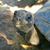 Jason Copes's profile image
