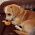 Lynda Kutrich's profile image