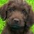 Charlie Fisher's profile image