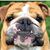 Joel M Sotelo's profile image