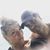 Aida Flamino's profile image