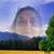 Candy Chambers Jimmerson's profile image