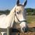 Sue S. Vanderlinden's profile image