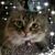 Gale Frances's profile image