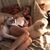 Angie Desrochers's profile image