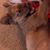 Minnie Lee's profile image