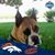 Carolyn Losh's profile image
