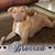 Kaylene Bordeau's profile image