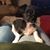 Jayleen Cooke Honn's profile image