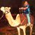 Genia Freeman's profile image