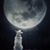 Canis Lupus's profile image