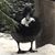 Christine Olson Owens's profile image