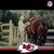 Casey Widmeyer's profile image