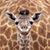 Sheryl St Jacques's profile image