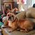 Jane Allison Lacy's profile image