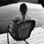 Patti Post's profile image