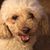 Ruth Ploof's profile image
