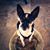 Pamela Brunson's profile image