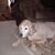 Paul Stockham's profile image