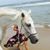 Lu Anne Whitaker's profile image