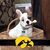 Courtney Flynn Molsen's profile image
