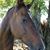 Felicia Kelley Genson's profile image