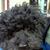 Rae Rabin Goldberg's profile image