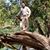 Chapin Frank de Leon's profile image