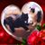 Pamela Armenti Shiffner's profile image