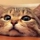 Trisha K.'s profile image
