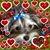 Diane Vodarick Munkus's profile image