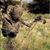 Bob Boyer's profile image