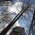 Melissa Stanfield Childress's profile image