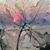 Suzette Niles's profile image