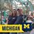 William D Allman's profile image