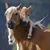 Rebecca Erwin Spivey's profile image