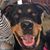 Wanda Absher's profile image