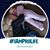 Danielle Hiser's profile image